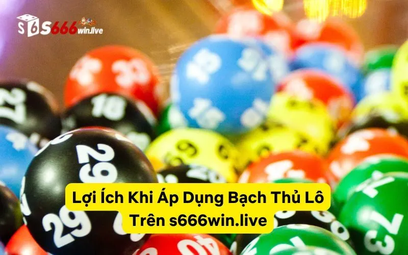 Lợi Ích Khi Áp Dụng Bạch Thủ Lô Trên buymotrin.us.com